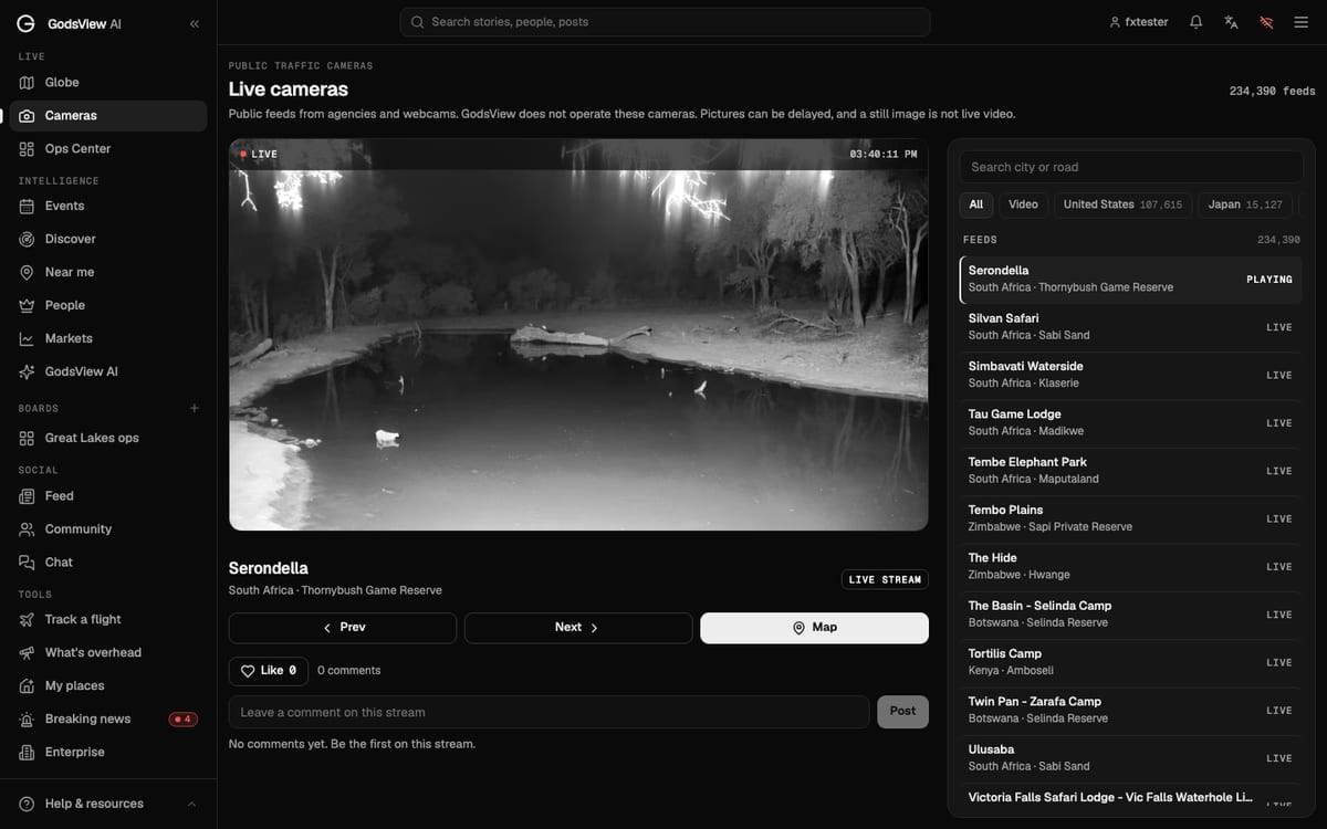 The GodsView live cameras page with a wildlife webcam playing and a searchable list of 234,390 public camera feeds